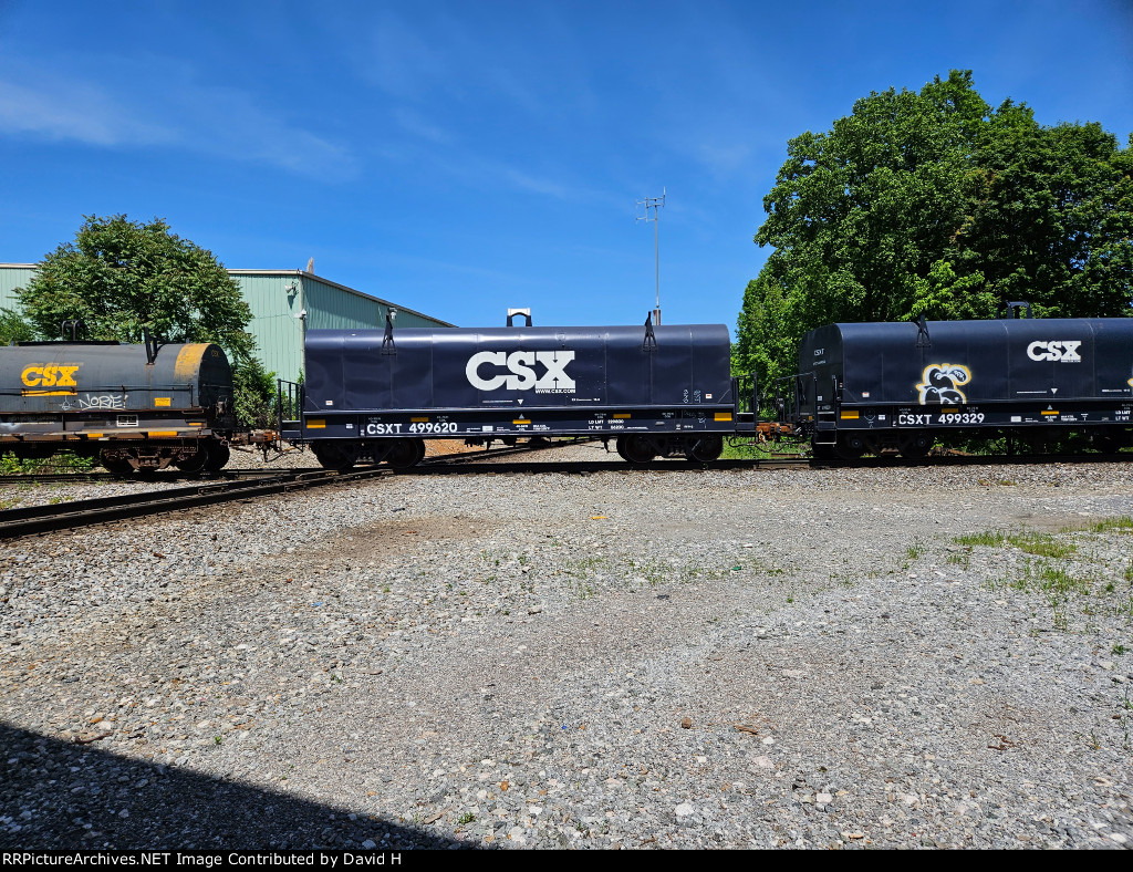 CSX 499620